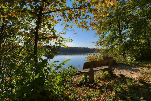 球队的竞争 球队的竞争